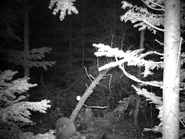 primos20110803t125356prms00-3